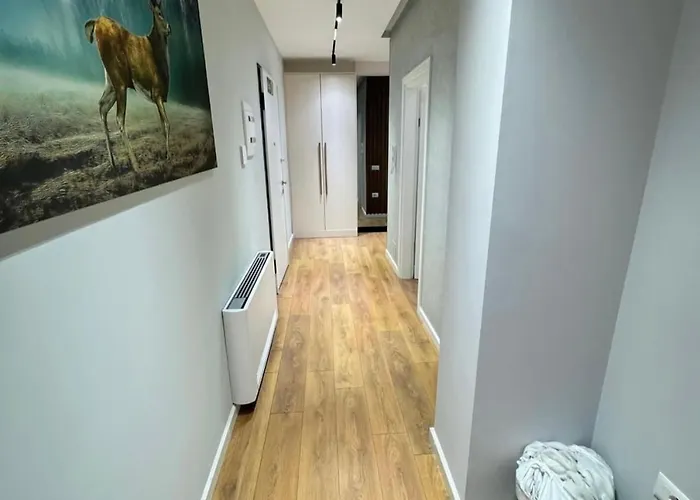 Apartment In Blanc Tirana